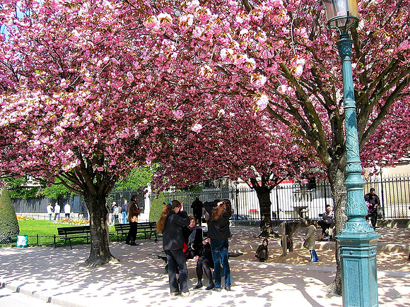 Paris France in Spring