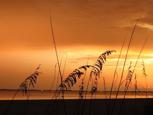 Sunset 5