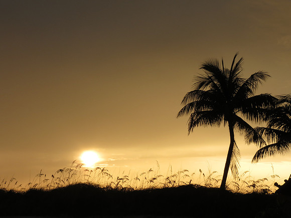 Sunset 2