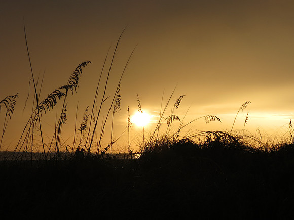 Sunset 6