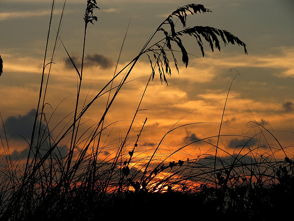 Sunset 2 Fort Myers Beach, FL