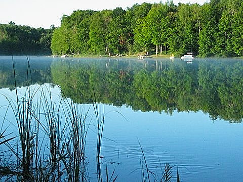 Lake Ann, Mi