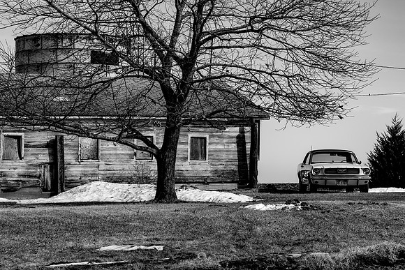 dixon farms (5 of 7).jpg