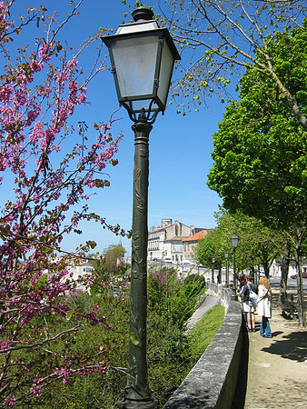 France Street Light