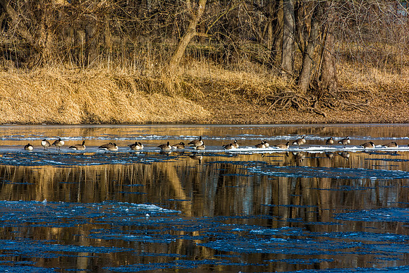 River Ice