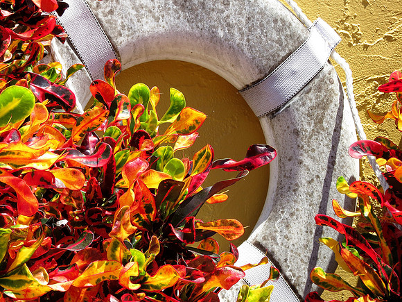 Life Preserver and Flowers Fort Myers Beach, Florida