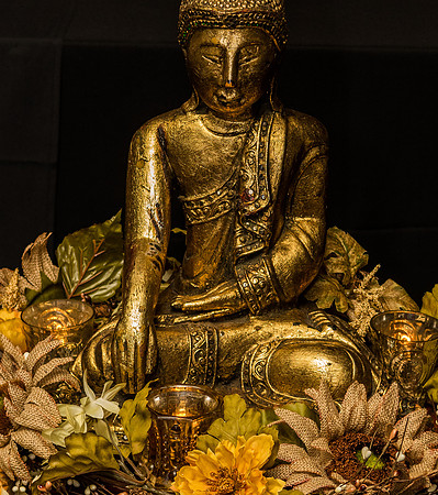 RRP_20160827_4091