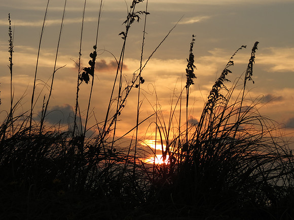Sunset 8