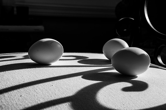AJR_1255