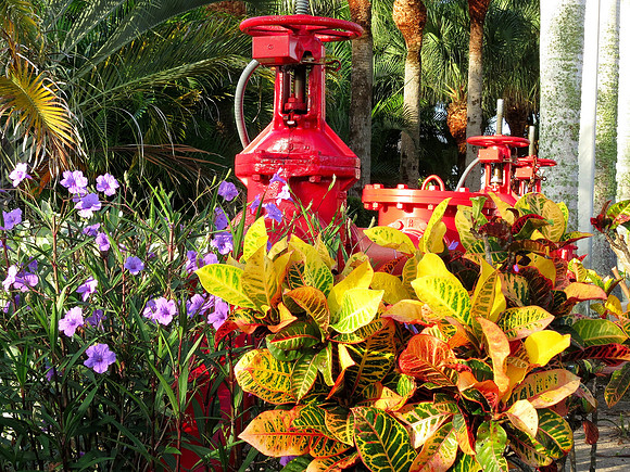 Flowers and Pipe Fort Myers Beach, Florida
