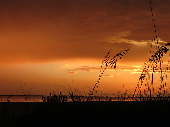 Sunset 4