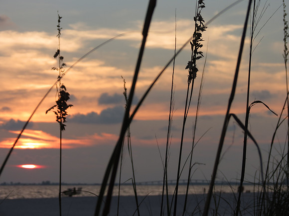 Sunset 7