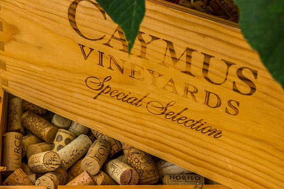 RRP_3005.jpg