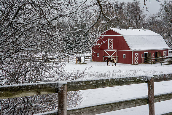 Algonquin IL